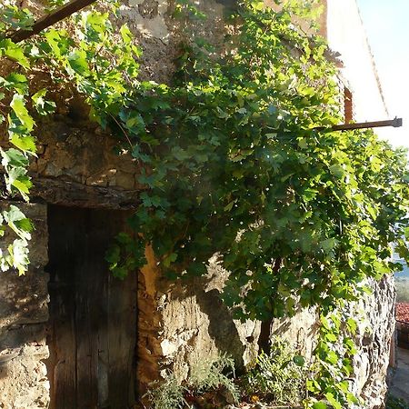 Apartmán El Nido De La Collalba Cabañas del Castillo Exteriér fotografie